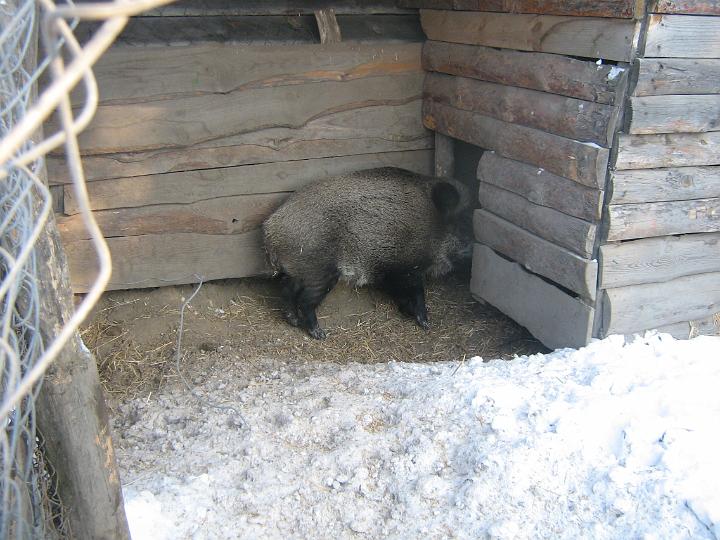 zad 073.jpg